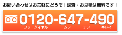 ハト駆除　福岡、大分他地域のお問い合わせ　見積もり無料　0120-064-7490