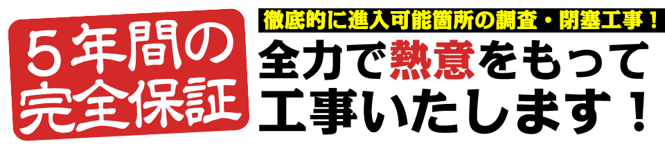 ハト駆除　退治　５年間の完全保証　徹底的に進入可能箇所の調査・閉塞工事！全力で熱意をもって工事いたします！