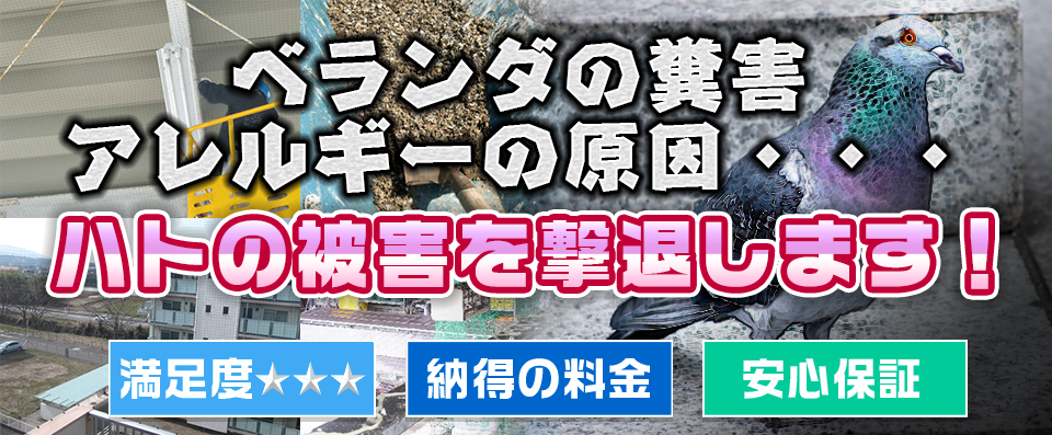 そのイタチ、完全駆除します！捕獲1万2千円から　株式会社リード　大分ハト駆除対策本部　満足度星３つ　納得の料金　安心保証　福岡　九州各県、山口・中国各県、愛媛・四国各県他対応　イタチの悪臭の臭いに鼻をつまむ男性